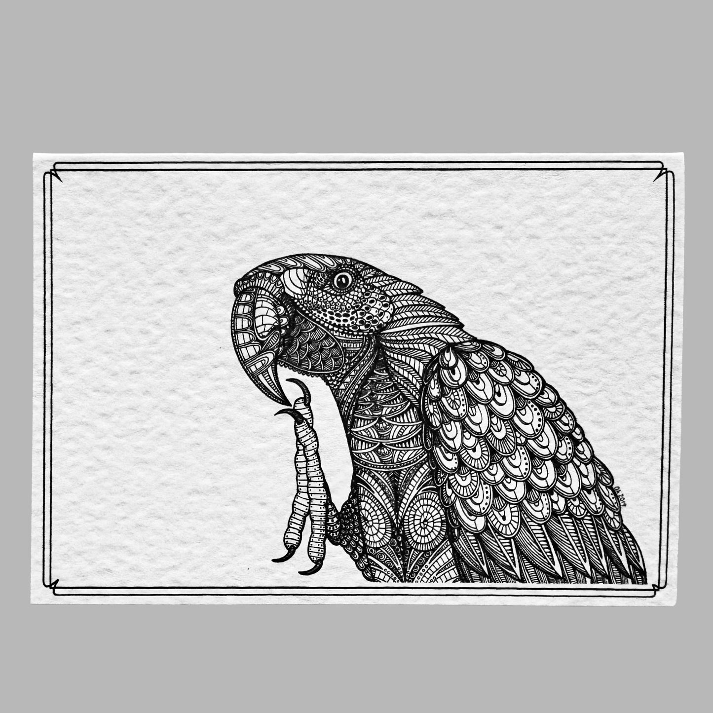 Parrot – Greeting Card